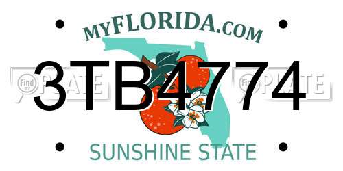 3TB4774 Florida License Plate