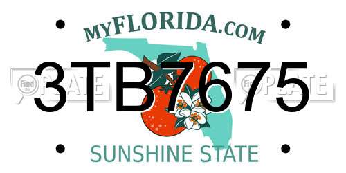 3TB7675 Florida License Plate