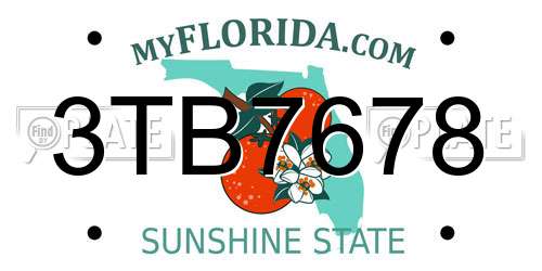 3TB7678 Florida License Plate