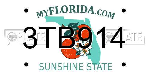 3TB914 Florida License Plate