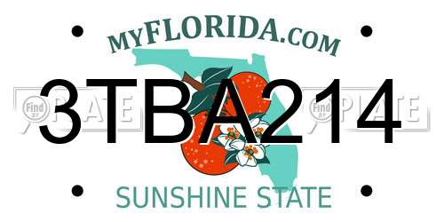 3TBA214 Florida License Plate