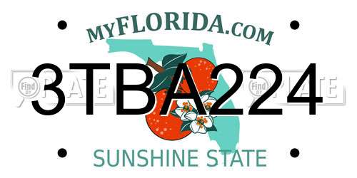 3TBA224 Florida License Plate