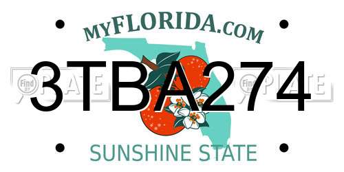 3TBA274 Florida License Plate