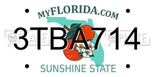 3TBA714 Florida License Plate