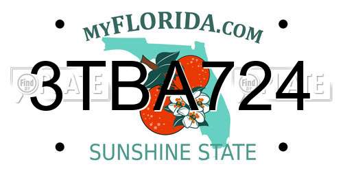 3TBA724 Florida License Plate