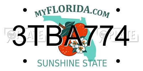 3TBA774 Florida License Plate