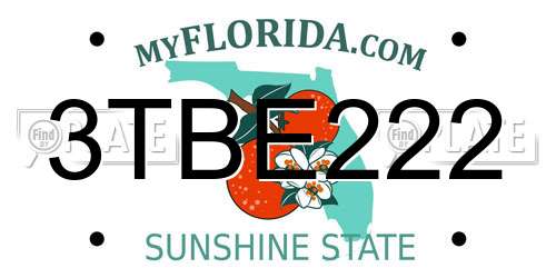 3TBE222 Florida License Plate
