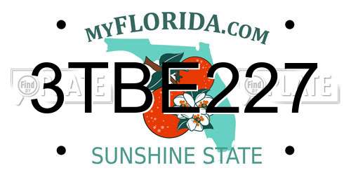 3TBE227 Florida License Plate