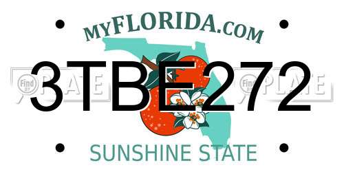 3TBE272 Florida License Plate