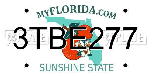 3TBE277 Florida License Plate
