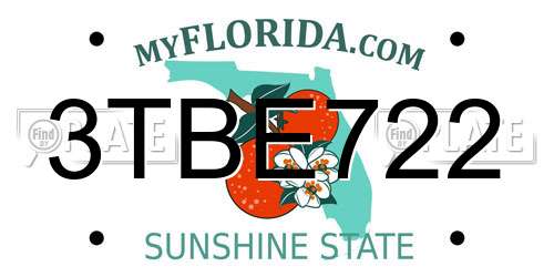 3TBE722 Florida License Plate