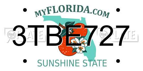 3TBE727 Florida License Plate