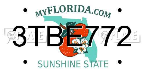 3TBE772 Florida License Plate