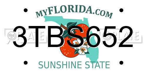 3TBS652 Florida License Plate