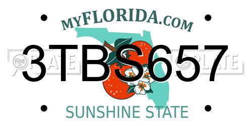 3TBS657 Florida License Plate