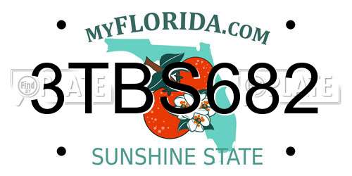 3TBS682 Florida License Plate