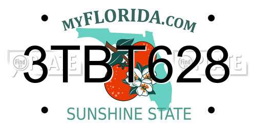 3TBT628 Florida License Plate