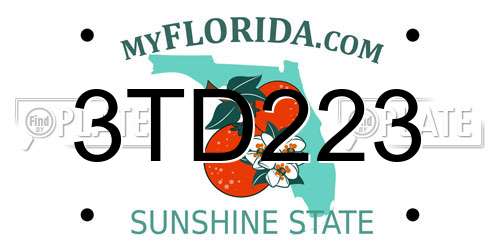 3TD223 Florida License Plate