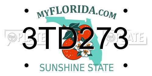 3TD273 Florida License Plate