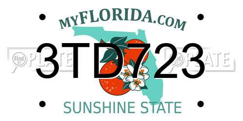 3TD723 Florida License Plate