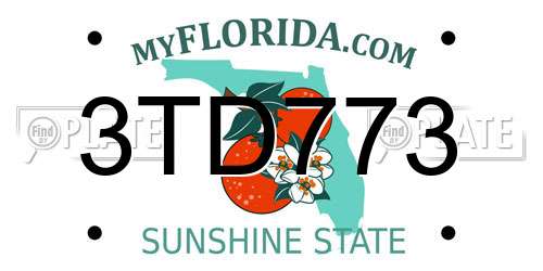 3TD773 Florida License Plate