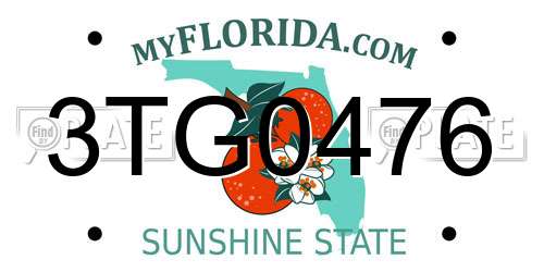 3TG0476 Florida License Plate
