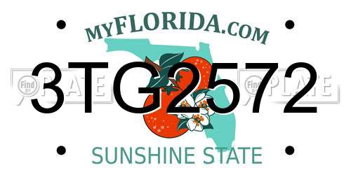 3TG2572 Florida License Plate