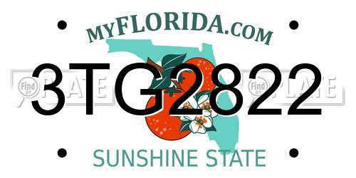 3TG2822 Florida License Plate