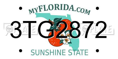 3TG2872 Florida License Plate