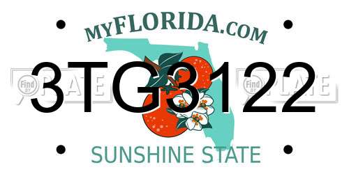 3TG3122 Florida License Plate