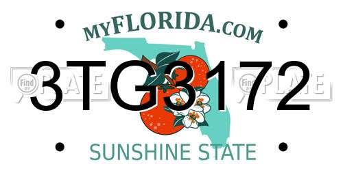 3TG3172 Florida License Plate