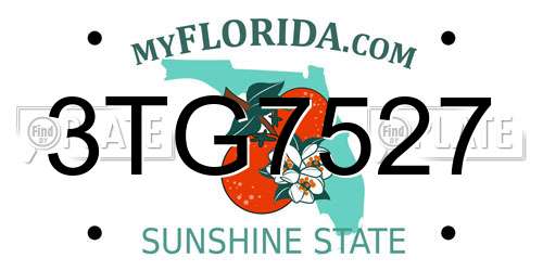 3TG7527 Florida License Plate
