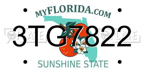 3TG7822 Florida License Plate