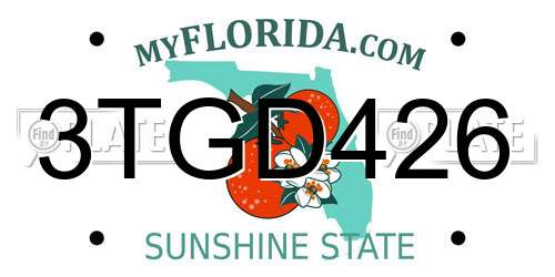 3TGD426 Florida License Plate
