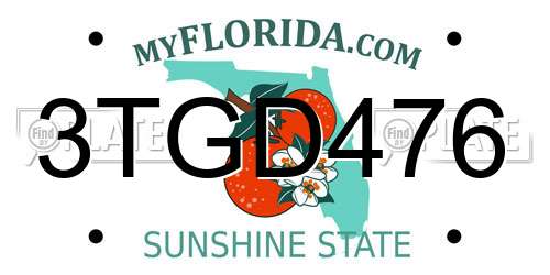 3TGD476 Florida License Plate