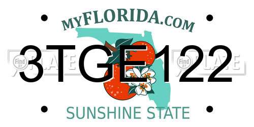 3TGE122 Florida License Plate