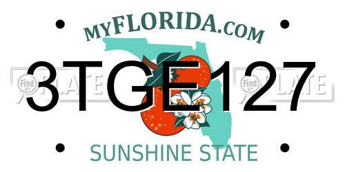 3TGE127 Florida License Plate