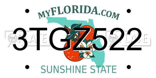 3TGZ522 Florida License Plate
