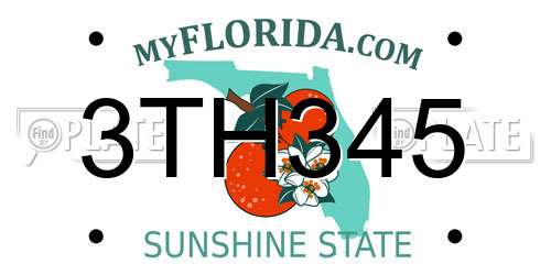 3TH345 Florida License Plate