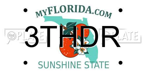 3THDR Florida License Plate