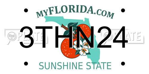 3THN24 Florida License Plate