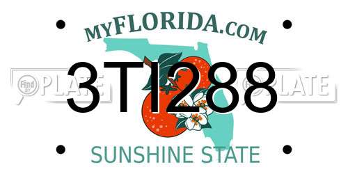 3TI288 Florida License Plate