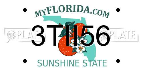 3TII56 Florida License Plate