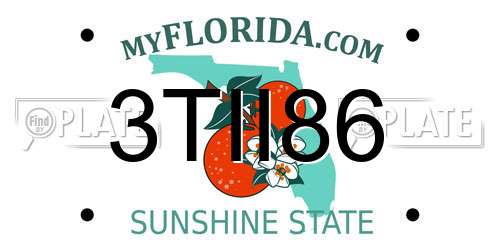 3TII86 Florida License Plate