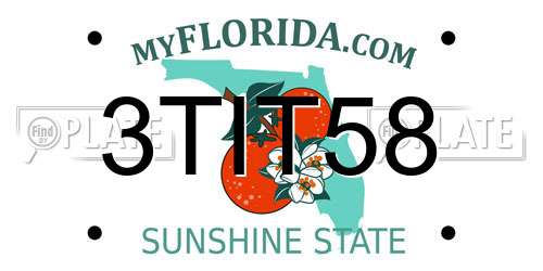 3TIT58 Florida License Plate