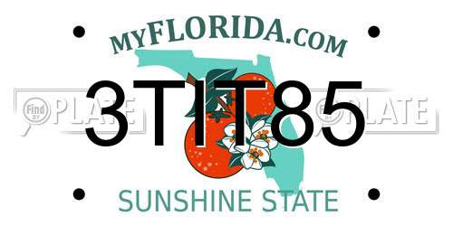 3TIT85 Florida License Plate