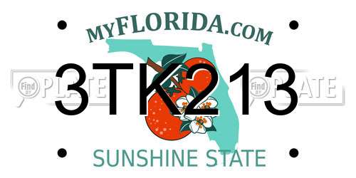 3TK213 Florida License Plate