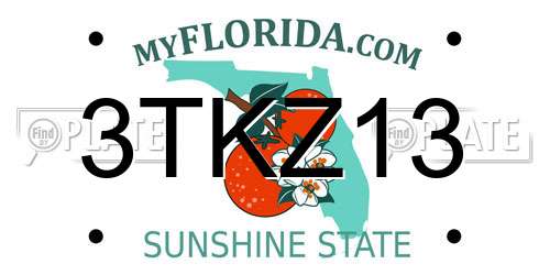 3TKZ13 Florida License Plate