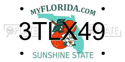 3TLX49 Florida License Plate