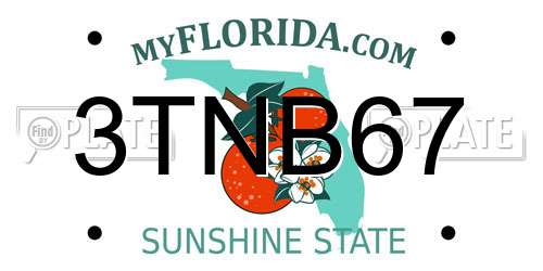 3TNB67 Florida License Plate